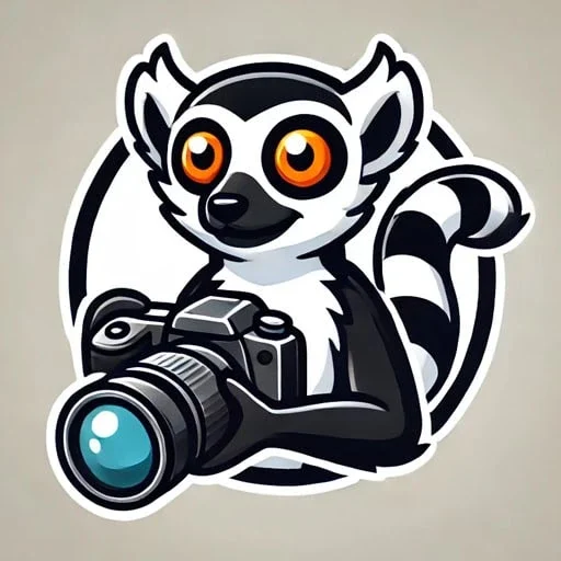 favicon du site photographe nosy be